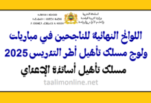 modeleafficheSM Finale1 Copie 2