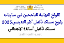 modeleafficheSM Finale1 Copie